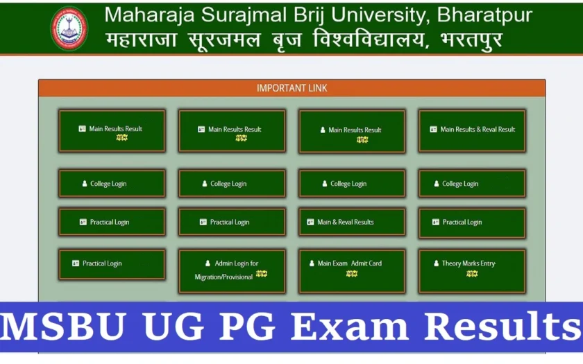 msbu ba final result